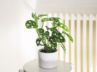 Image Slider 2